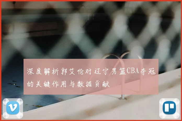 深度解析郭艾伦对辽宁男篮CBA夺冠的关键作用与数据贡献